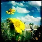 Hipstamatic, John S