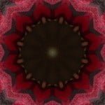 KaleidaCam for iPhone, ipad