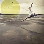 iphonography