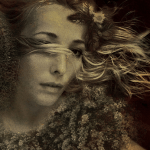 iphonography, mobile photography, showcase