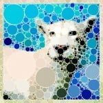 Percolator app