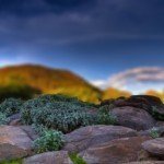 afterfocus, iphone, focus, depth of field, dof, iphoneography