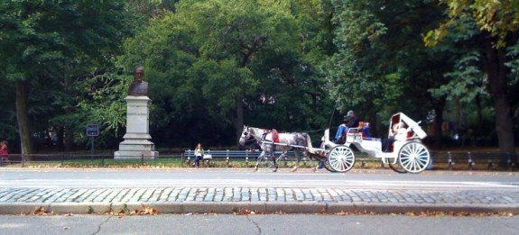 New York, Central park, tavern on the green, carriage