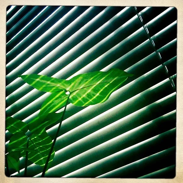 iPhoneography: sunlines