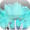 Negative: FREE in the App Store Right Now