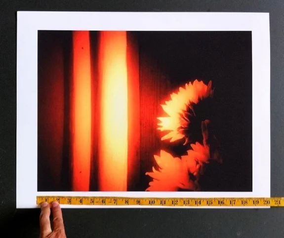 iphone photo, print, enlargement, iphoneography, mobile photo, rez up, resize, how big can I print iPhone photo