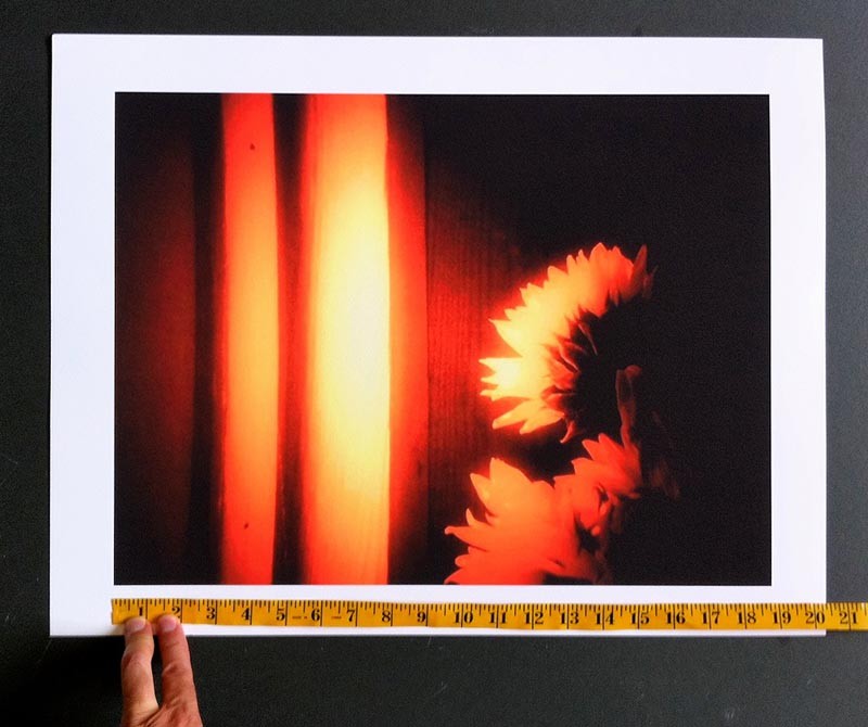 Can you make large prints from your iPhone photos?