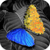 Want a FREE copy of PhotoWizard-Editor for iPhone?