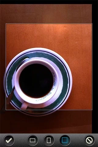 PhotoToaster's crop tool