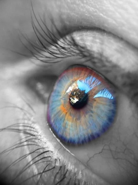 Mid-Summer Snaps Photo Contest with Color Splash Studio: Today is the last day to enter!