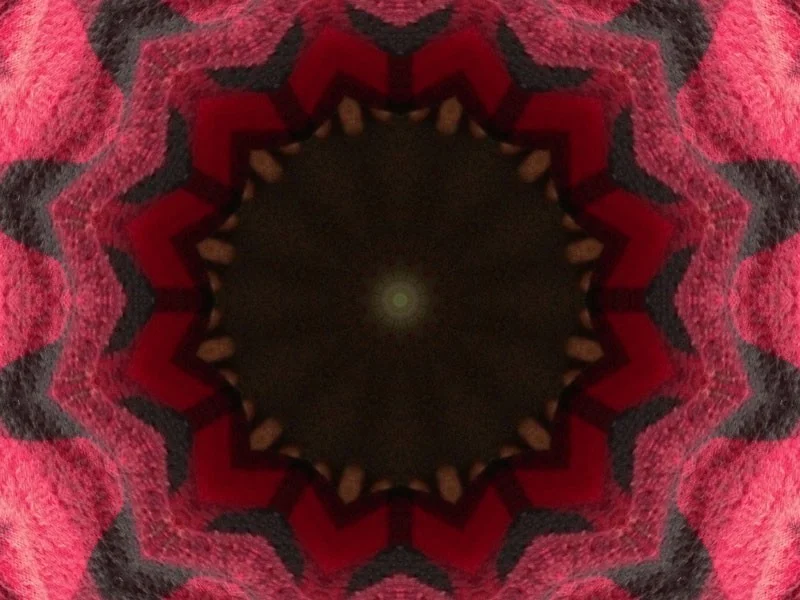 KaleidaCam Got a Big Update.