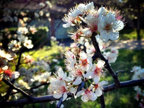 high res, photo, iphone, mobile photo