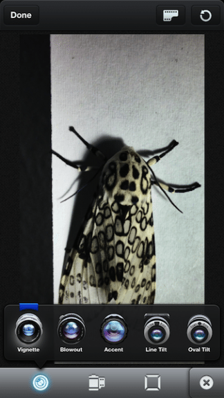 Vignette Lens applied.