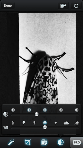 Exposure set to about -.5.