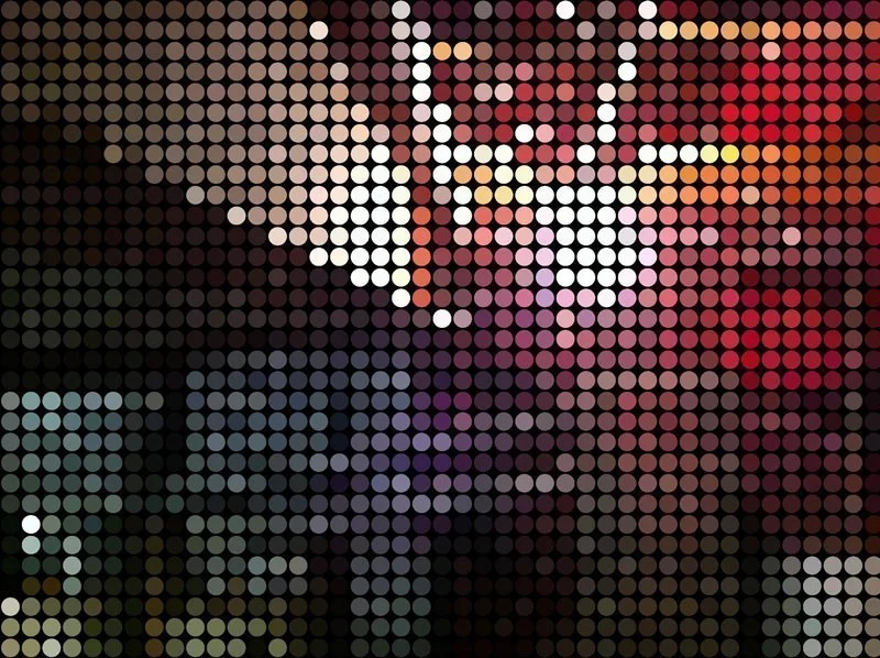 Photo App Focus: Effexy