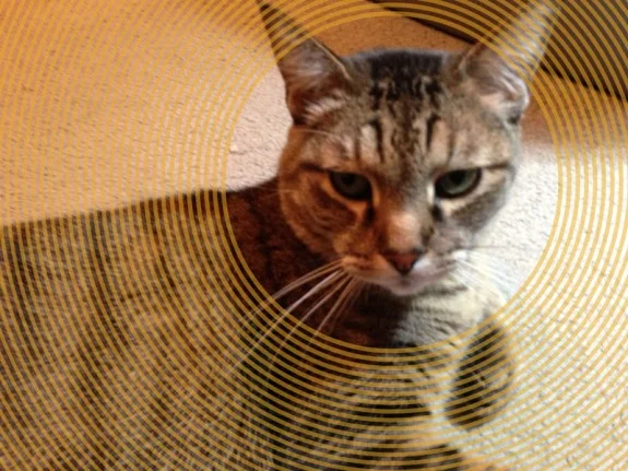 tangent app for iPhone