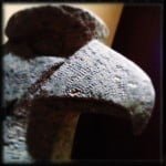 hipstamatic, oggl, iphone, iphonoegraphy