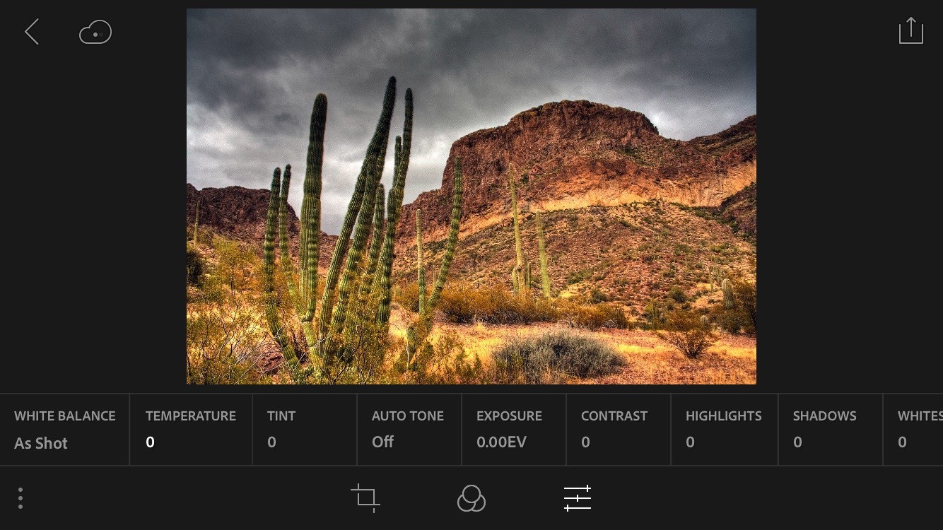Using Lightroom for iOS