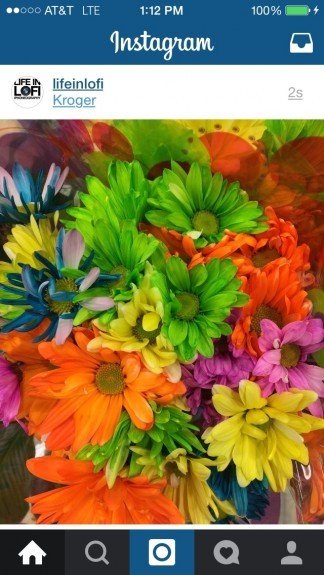 instagram-landscape-lofi-0815